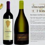 chardonnay vino per regione italiana