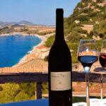 wines from the region of Sardinia in italy