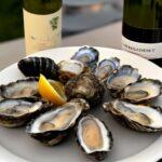 wine, mollusc and oyster pairings abbinamenti vini molluschi e ostriche