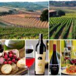 food to pair with montefalco sagrantino